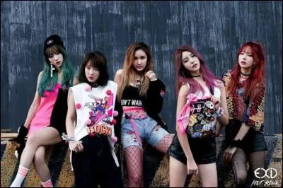 Qui est la rappeuse chez les EXID ?