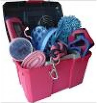 Quelles sont les brosses indispensables lorsque l'on brosse un cheval-poney ?