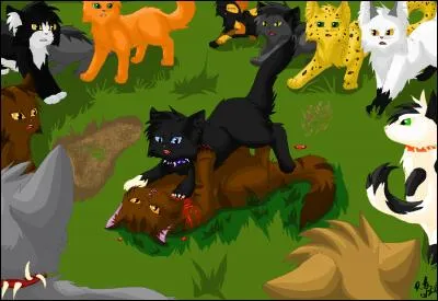 Et pourquoi d&eacute;c&egrave;de-t-il ?