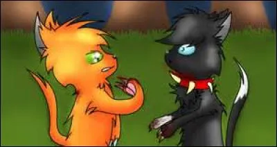 Quel est le lien entre Fl&eacute;au et &Eacute;toile de Feu ?