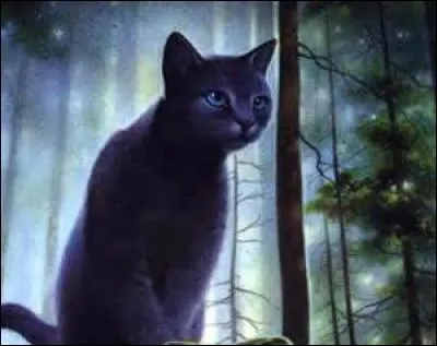 Comment s'appelle cette chatte ?