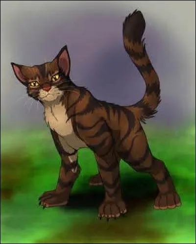 Quel est ce chat aux grandes griffes ?