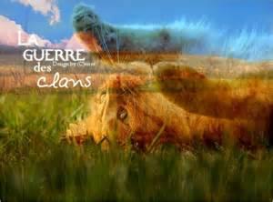 Quiz Erin hunter