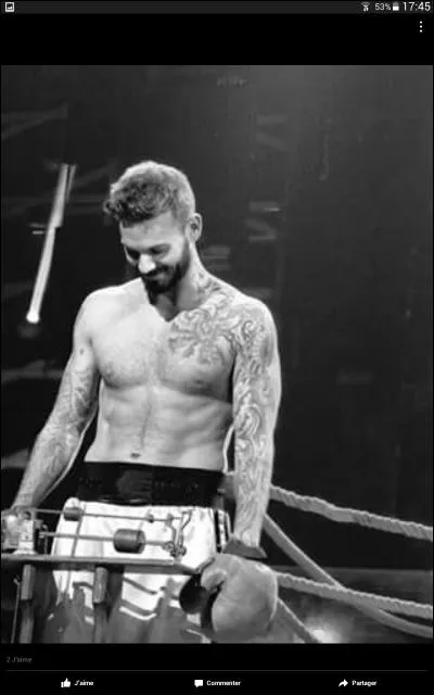 Que veut dire "Pokora" en polonais ?