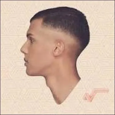 Quel métier Stromae exerce-t-il ?