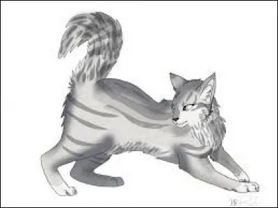 Qui est cette chatte ?