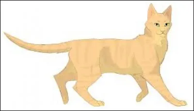 Qui est cette chatte ?