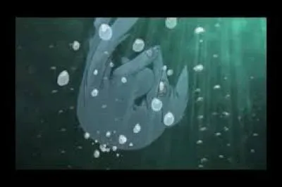 Qui est cette chatte ?