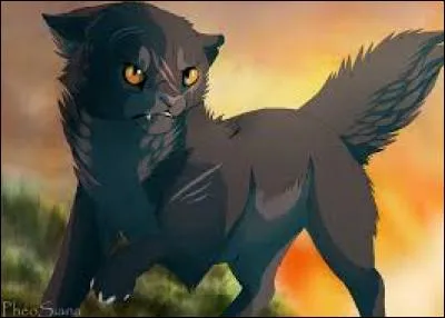 Qui est cette chatte ?