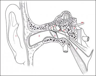 L'oreille est hardie, car elle peut percevoir des intervalles bien plus petit que le demi-ton. Que peut-on dire dans ces cas-là ?