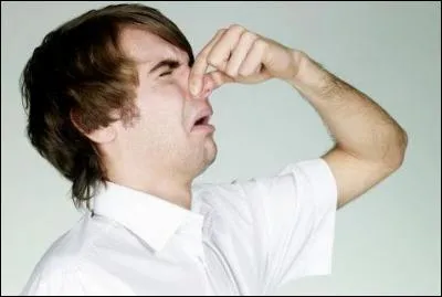 Combien de temps l'odeur de votre pet met-elle de temps à arriver à votre nez ?