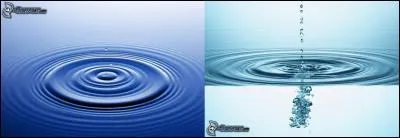 Ces « encyclies » sont magnifiques ! Seriez-vous capables d'en faire autant ?
Si vous savez ce que cela signifie, vous en êtes capables ! 
Qu'est-ce qu'une « encyclie » ?