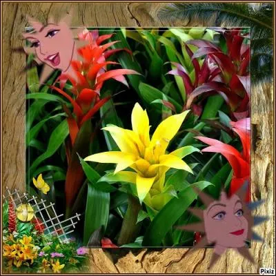 En conclusion, ce qu'il faut faire, c'est rester naturelle. Si un garçon vous aime, c'est pour votre nature, pas pour un parfum. Ce quiz est stupide ! La prochaine fois, on parlera maquillage. Sinon, j'adore un parfumeur : Guerlain. De quelle ville vient-il ?