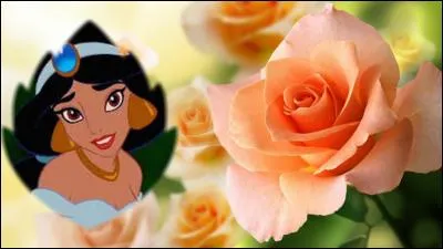 Je vais me contenter d'un parfum oriental. Je vais sentir tellement bon. La rose, ça sent mauvais et le chocolat, je n'en parle même pas. Quelle est la base d'un parfum oriental ?