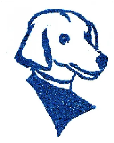 Comment s'appelle cet animal ?