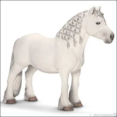 Quelle est la race de ce poney qui est d'origine britannique ?