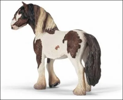 Quelle est cette race de cheval de trait ?