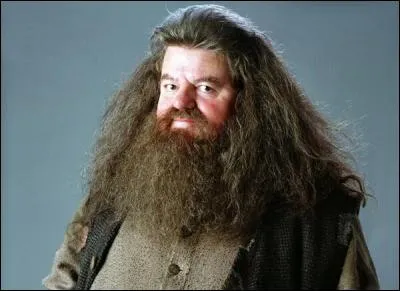 Le frère de Hagrid est :
