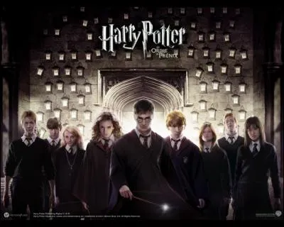 Où l'armée de Dumbledore s'entraîne-t-elle ?