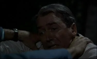 À la fin du film, le personnage va tomber de...