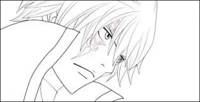 Quelle est la couleur des cheveux de Jellal ?