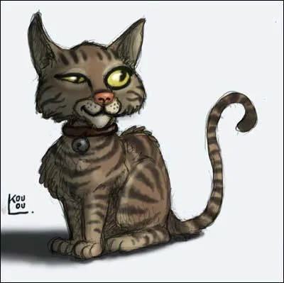 J'avais aussi un chat, quelle différence faisais-je entre lui et mon mari ?