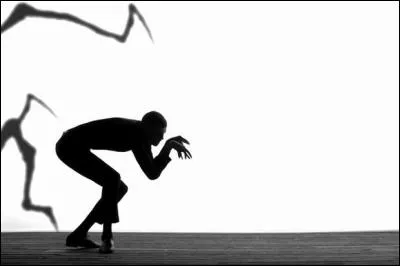 Finissons par ce chanteur belge Stromae avec sa chanson "Quand C'est" : "Et arrête de faire ton innocent/ Sur les paquets..."