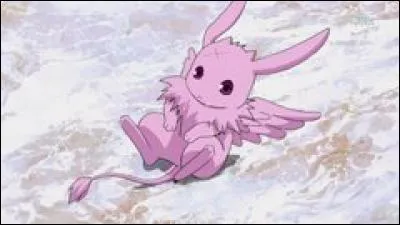 Qui est cet animal ?