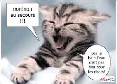 Comment traduit-on le mot "secours" en anglais ?