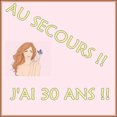 Qui a réalisé le film "Au secours, j'ai 30 ans ! " en 2004 ?