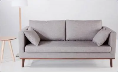 Ils reviennent, fatigués, mais contents. Margot pose le sac, et _____ sur le canapé.