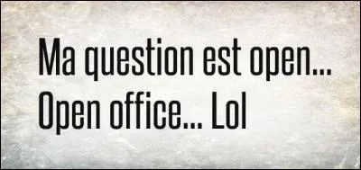 En informatique, une application de back office est quant &agrave; elle la partie d'un syst&egrave;me informatique accessible &agrave; l'utilisateur lambda ou au client :