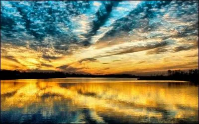 Les bacs, bateaux &agrave; fond plat peuvent se d&eacute;placer en avant ou en arri&egrave;re de la m&ecirc;me mani&egrave;re. Autrement dit ils sont :