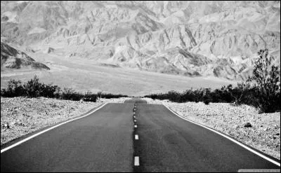 Si votre projet est viable, efficace, argumenté, solide. Que peut-on en dire ?