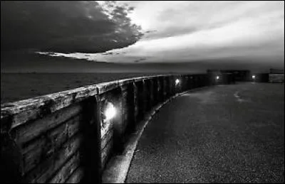'La Route du Rhum' est une course transatlantique en solitaire, courue tous les quatre ans. Son départ a lieu à Saint-Malo, mais où est son point d'arrivée ?