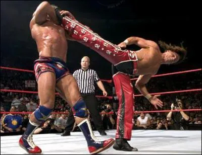 Quelle est cette prise de finition ?