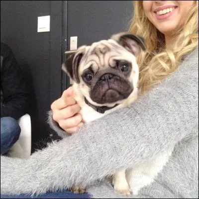 Le chien d'Enjoyphoenix s'appelle...