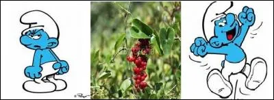 Il y a un avant et un après. Que prendrez-vous pour passer d'un état à l'autre ?