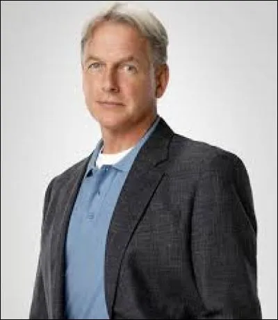 Quel est le nom de l'acteur qui interprète le rôle de "Leroy Jethro Gibbs" ?