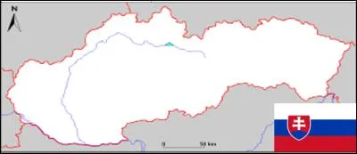 Quelle est la monnaie slovaque ?