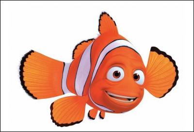 Nemo, c'est...