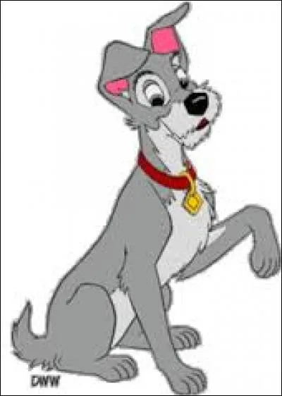 Le Clochard, c'est...