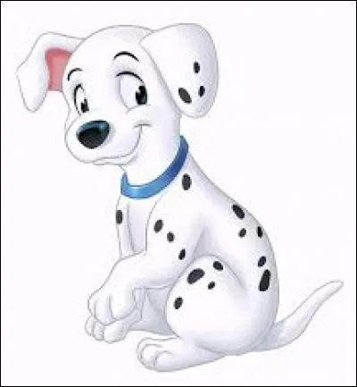 Les 101 Dalmatiens sont...