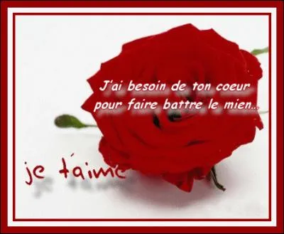 Qui a chanté ces paroles "On ira, où tu voudras, quand tu voudras, Et l'on s'aimera encore lorsque l'amour sera mort..." ? (L'été indien)