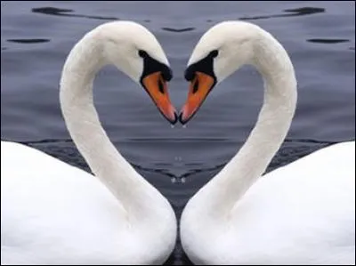 Qui chantait "La maladie d'amour" ?