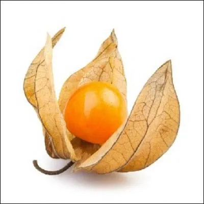 Comment appelle-t-on couramment le physalis ?