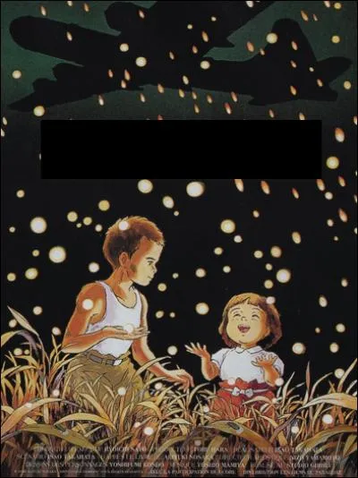 Adapté d'une nouvelle semi-autobiographique, ce film très noir se situant pendant la Seconde Guerre mondiale peut choquer certaines personnes sensibles.