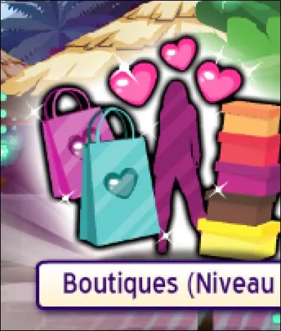 À partir de quel niveau peut-on aller dans la salle de tchat boutique ?
