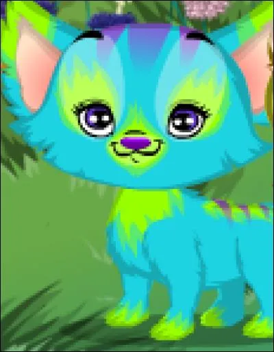 Jusqu'à combien de Pets Pets ou Boonies peut-on mettre dans sa chambre ?