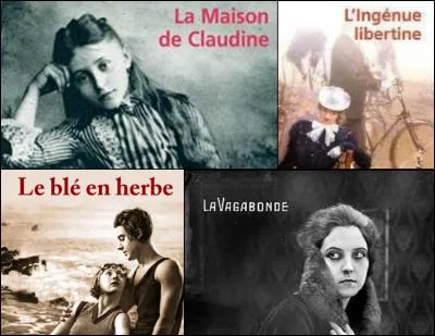 Les romans proposés sont de :